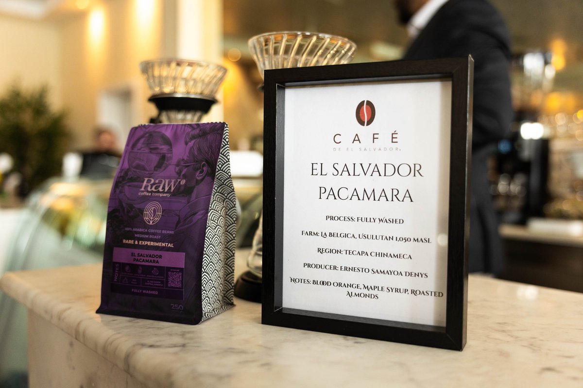 GerardoPerezSV's tweet photo. Celebramos el Día Nacional del café Pacamara, uno de los cafés de especialidad más representativos de El Salvador, con una degustación en el Emirato de Ras Al Khaimah. 🇸🇻☕🇦🇪

Nos honró con su presencia Su Alteza el Jeque Saud bin Saqr Al Qasimi, Miembro del Consejo Supremo y Gobernante de Ras Al Khaimah, así como el Jeque Ahmed bin Saud Al Qasimi, Presidente del Departamento de Servicios Públicos de Ras Al Khaimah. 

El café salvadoreño continúa consolidándose como un puente que une la cultura salvadoreña y emiratí. @RAKmediaoffice 

نحتفل بـاليوم الوطني لقهوة الباكامارا، إحدى أبرز قهوة المتخصصة في السلفادور، من خلال تذوّق خاص أُقيم في إمارة رأس الخيمة. 🇸🇻☕🇦🇪

وقد شرفنا بحضوره سمو الشيخ سعود بن صقر القاسمي، عضو المجلس الأعلى وحاكم رأس الخيمة، وكذلك الشيخ أحمد بن سعود القاسمي، رئيس دائرة الخدمات العامة في رأس الخيمة.

وتواصل القهوة السلفادورية ترسيخ مكانتها كجسر يربط بين الثقافة السلفادورية والإماراتية. @RAKmediaoffice