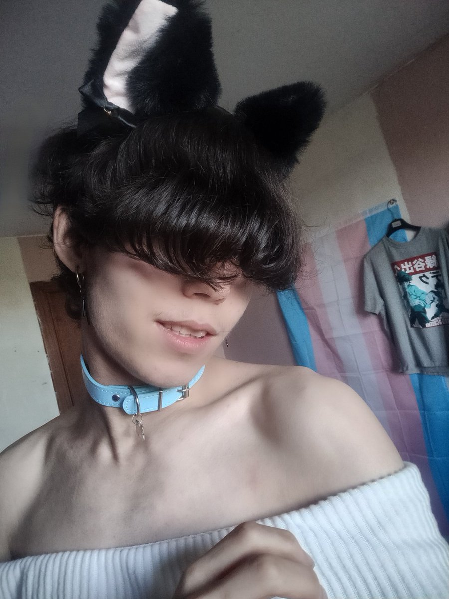 petits coeurs 🏳️‍⚧️ 🐾 tweet media