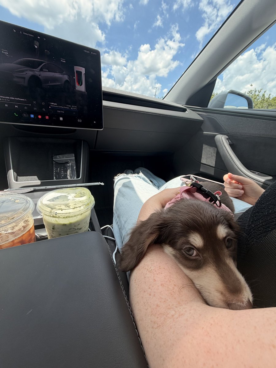 Voken_1's tweet photo. Athena’s first supercharging session https://t.co/PTe1U9zU3X