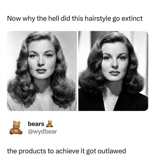 Orwell & Goode tweet media