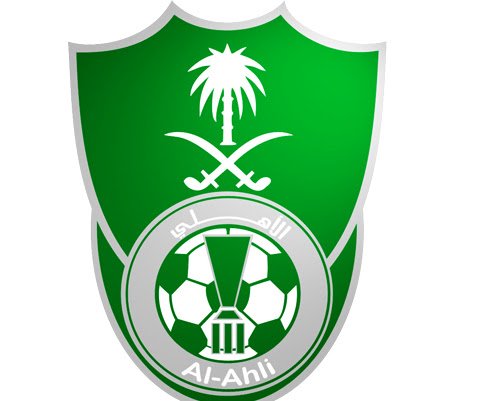 حليمة الأحمري 🇸🇦🇸🇦💚👑 tweet media
