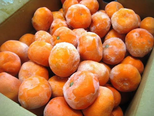 𝐌𝐚𝐞𝐬𝐭𝐫𝐨 tweet media