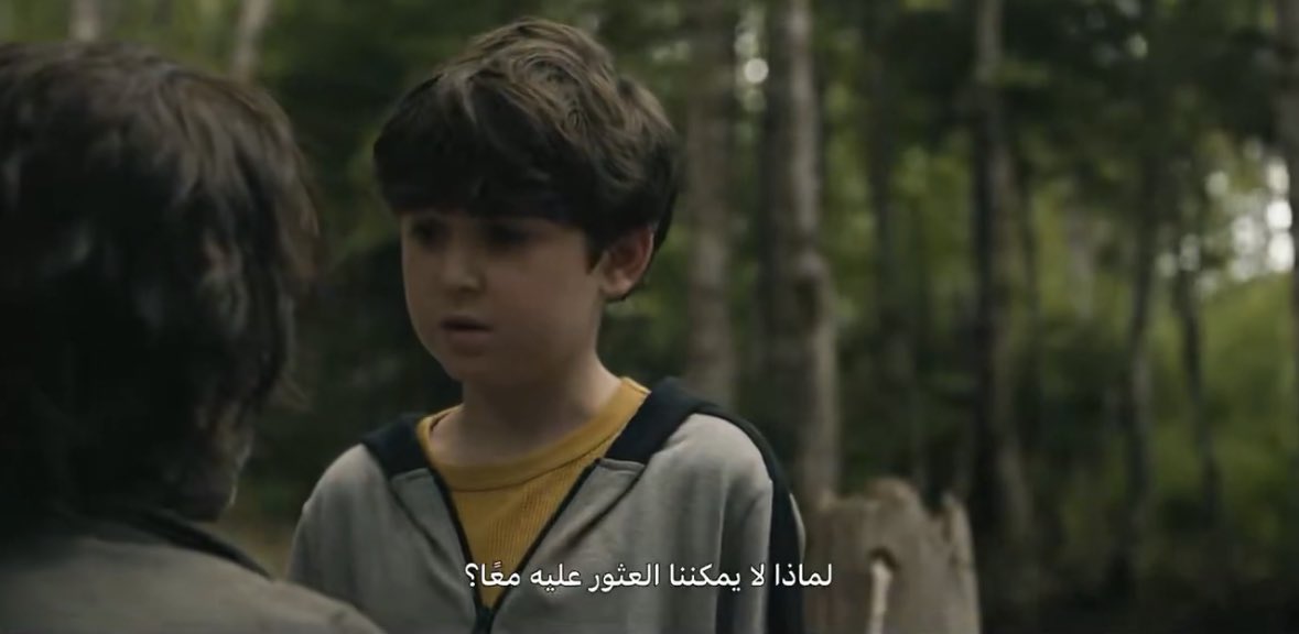 زيتونه tweet media