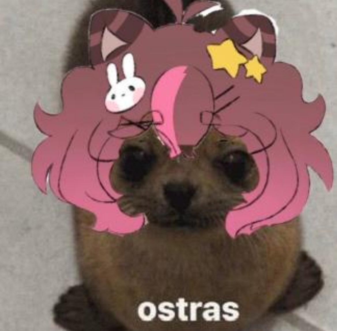 Doki VT ⭐️🦝 ♡ tweet media