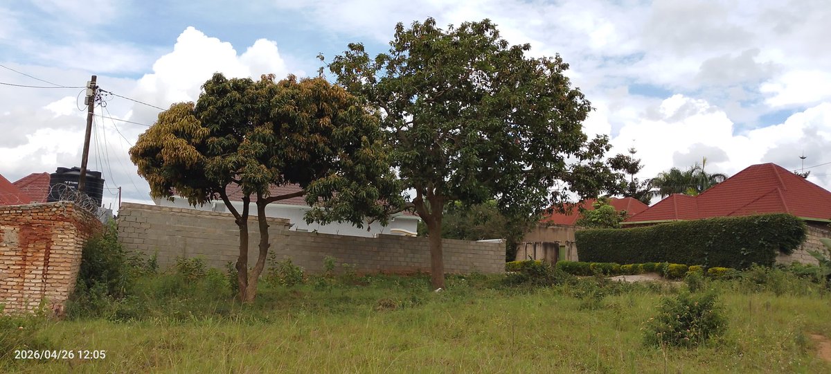 B_E_Labs's tweet photo. Hello, wait for the next day hope this is last view of our plot #siteview https://t.co/LTy5949N1B