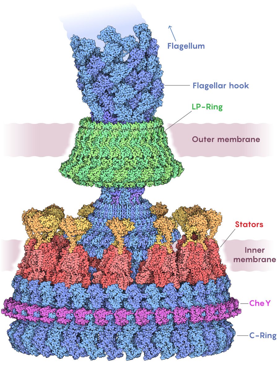 Quanta Magazine tweet media