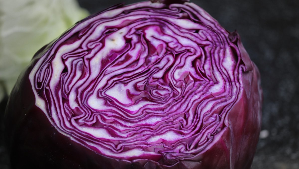 homeremedyusa's tweet image. Red cabbage is packed with antioxidants and supports digestion and heart health. Learn how to use it daily. #homeremedies #redcabbage
homeremedycentral.com/en/herbal-reme…