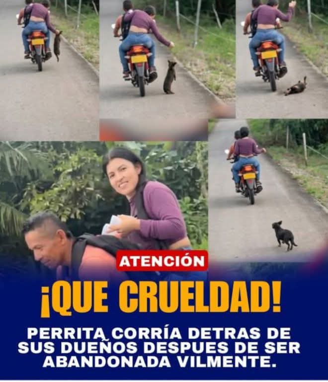 Sabueson tweet media