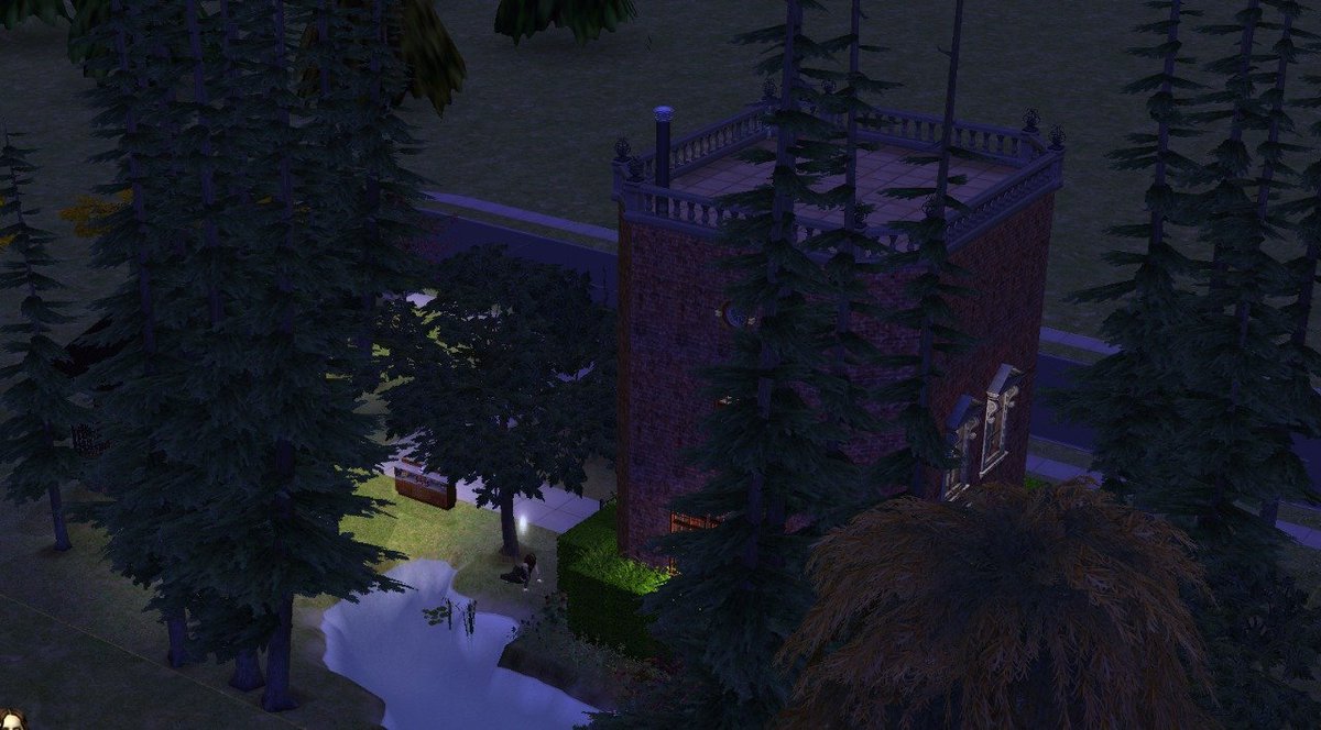 غابي tweet media