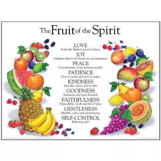 wirelesswalker's tweet photo. @Paula_White @POTUS Praying for Fruit from the Top: https://t.co/ooR0KaE2ZZ