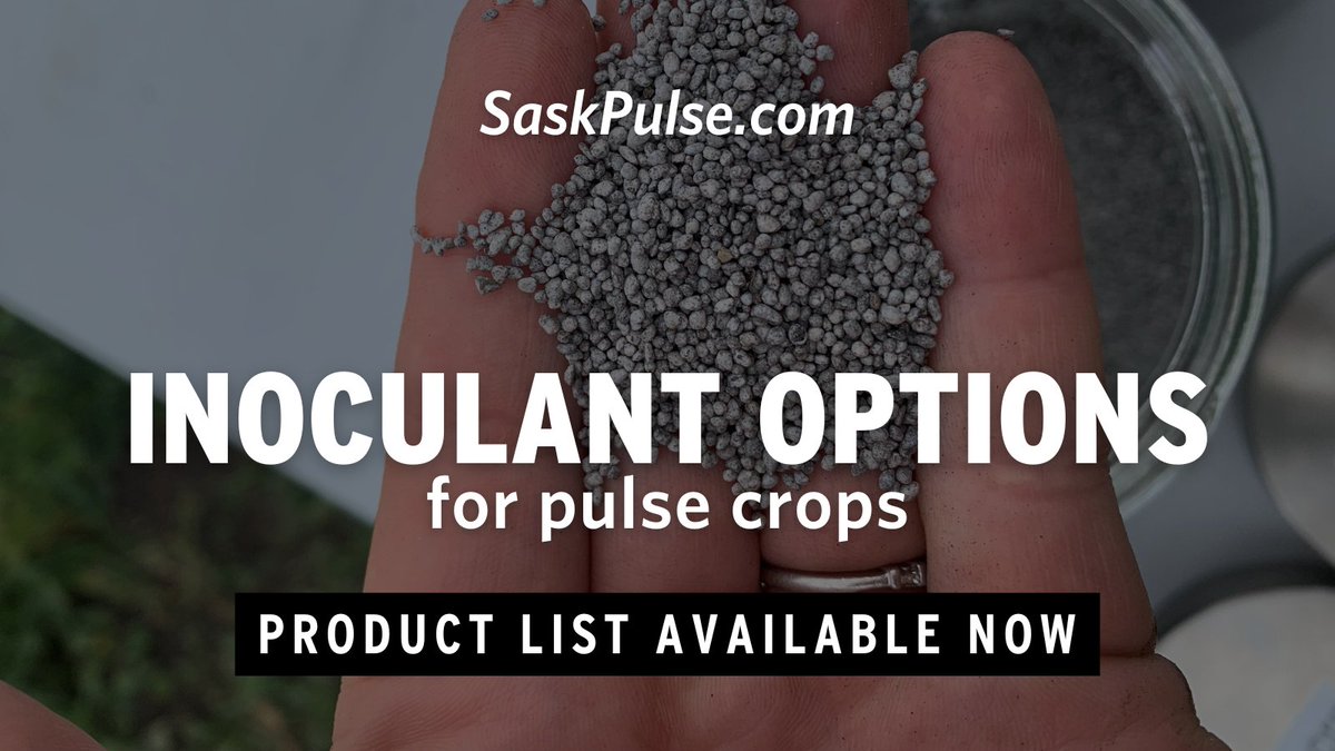 Saskatchewan Pulse Growers tweet media