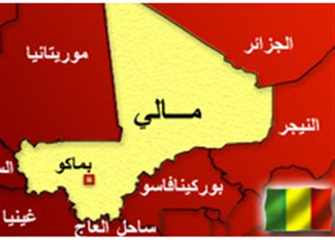 משה موشي جرادي Moshi tweet media