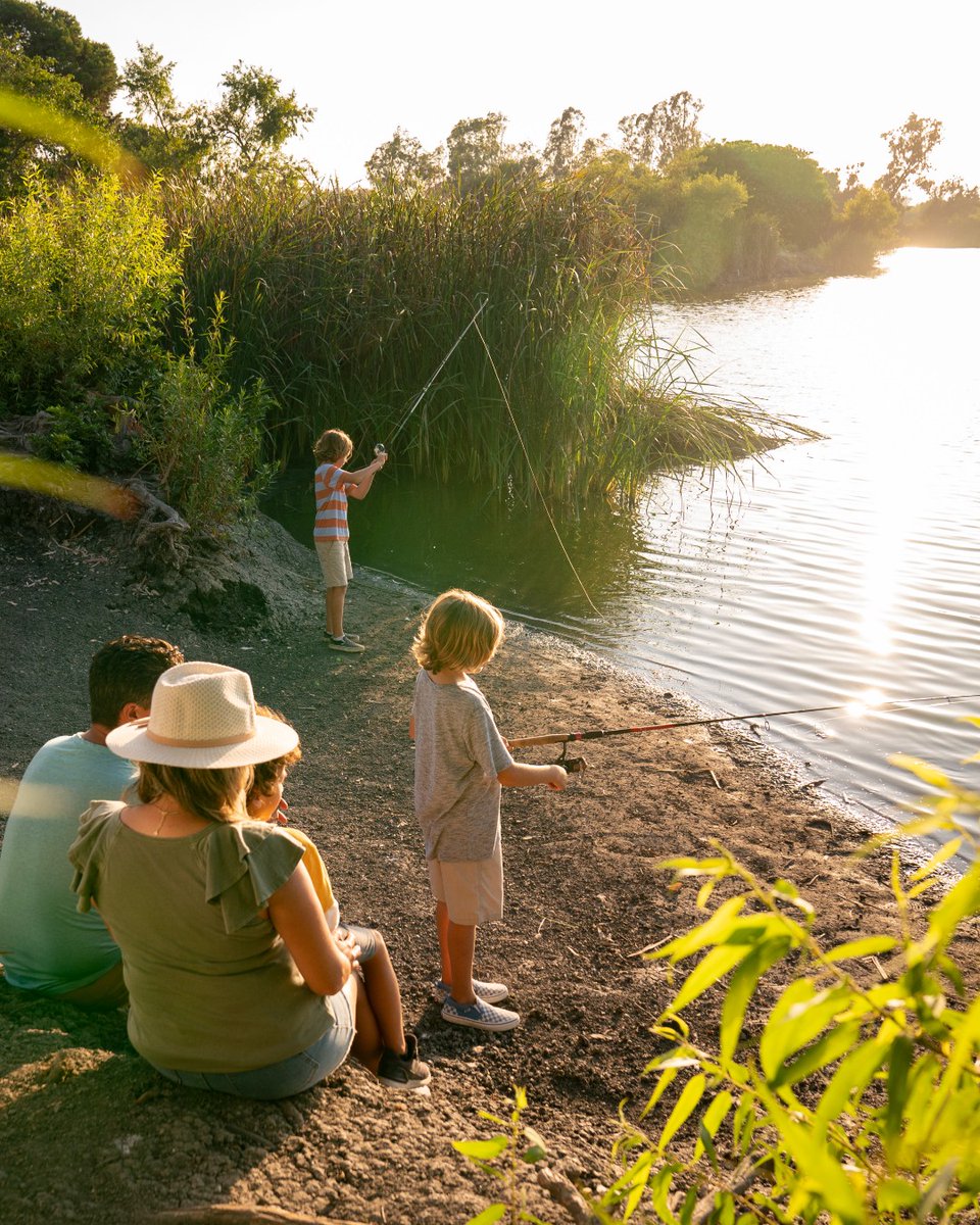 VisitOceanside's tweet photo. From whale watching and coastal bike rides to nature walks at Guajome, Oceanside is full of Always O’riginal adventures for the whole fam. 🚲🐋🌿 Plan a trip that’s anything but ordinary:  https://t.co/KmuMDFQqld https://t.co/9S1jaC7HG0