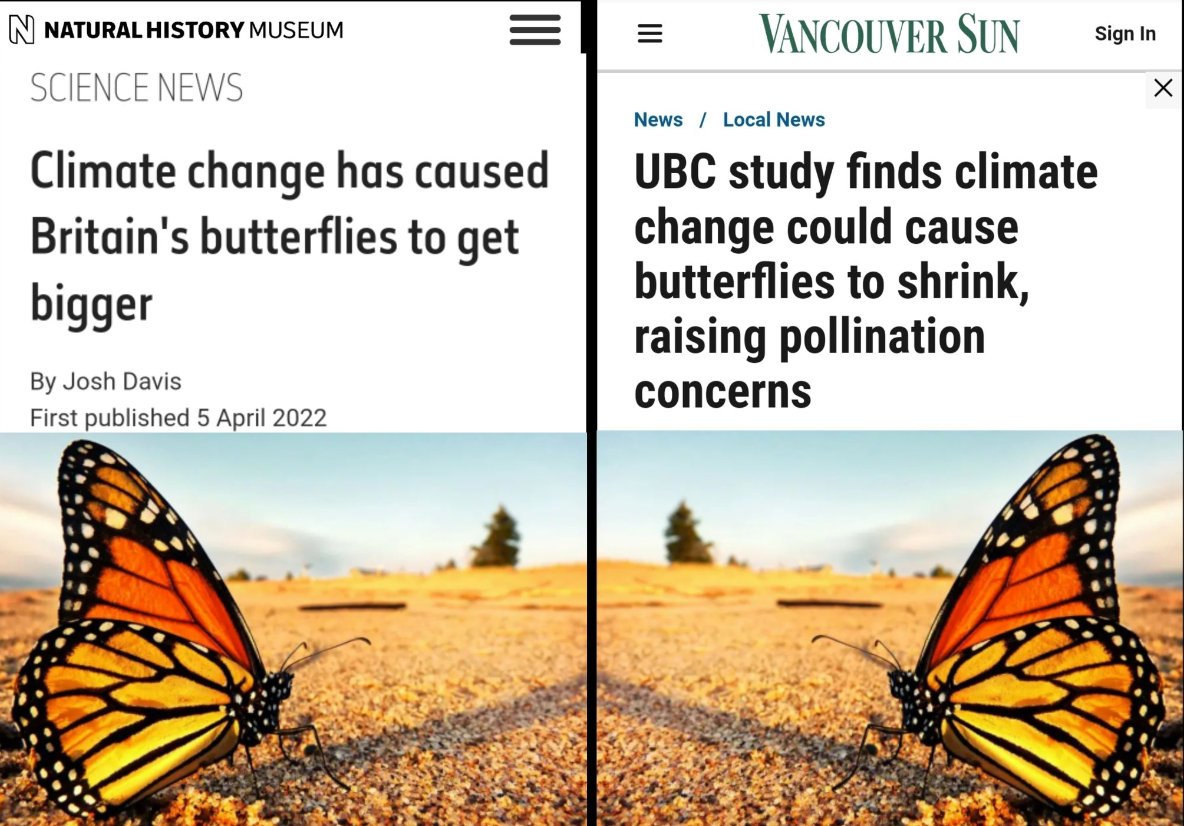 Kevin Williams tweet media