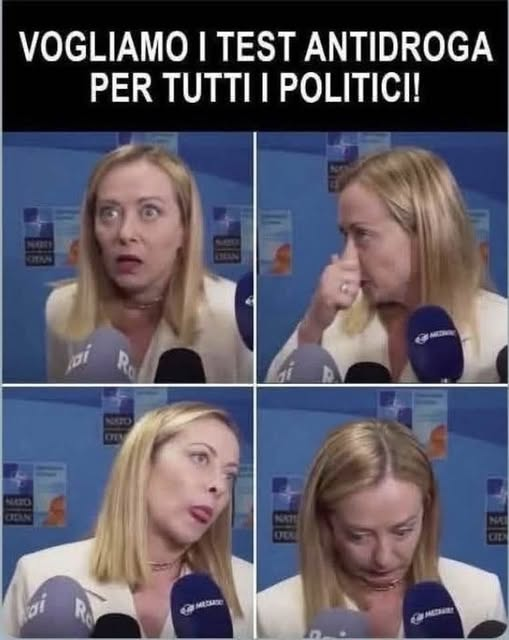 anna quercia tweet media