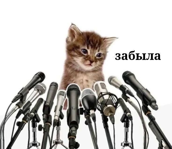 костлявая tweet media