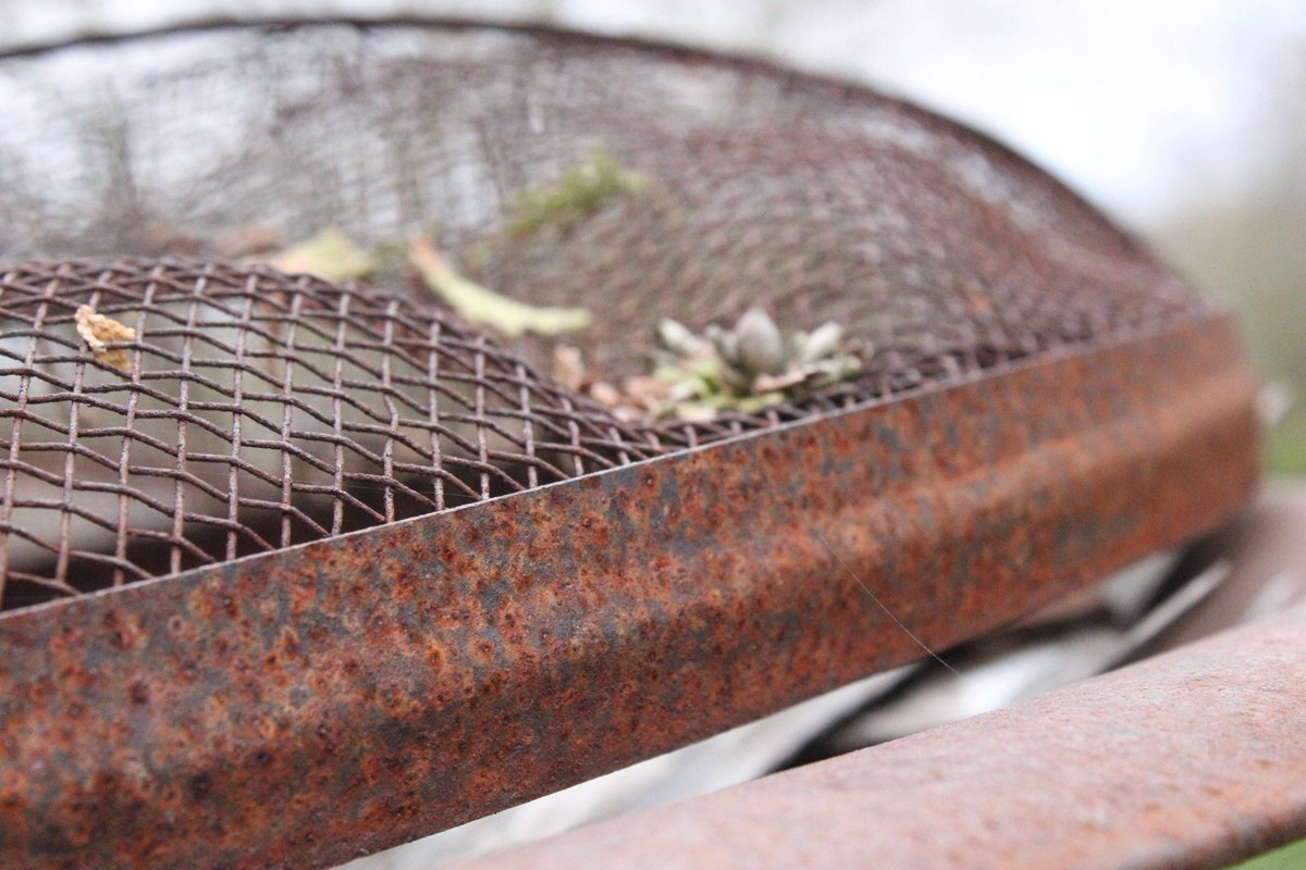YourPalLex's tweet photo. #rusttexture #naturedecay #barkdetail #earthtextures #macrophotography https://t.co/0Voz2SdSc2