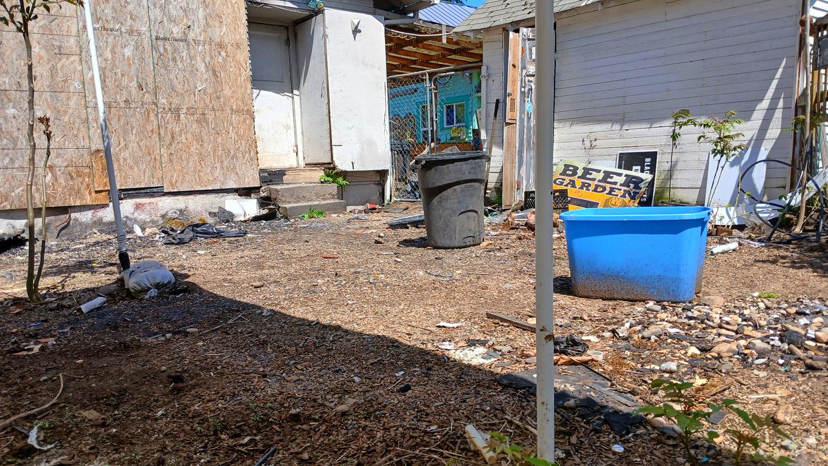 Geoff Stengel ᵍᵐ🦔🐢 tweet media