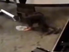 Bahhti's tweet photo. @sethweathers why is there a halfdead man trying to get up during the whole clip? https://t.co/vdXbEdZscI