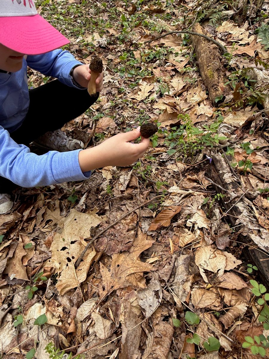 Mysterious Writings tweet media