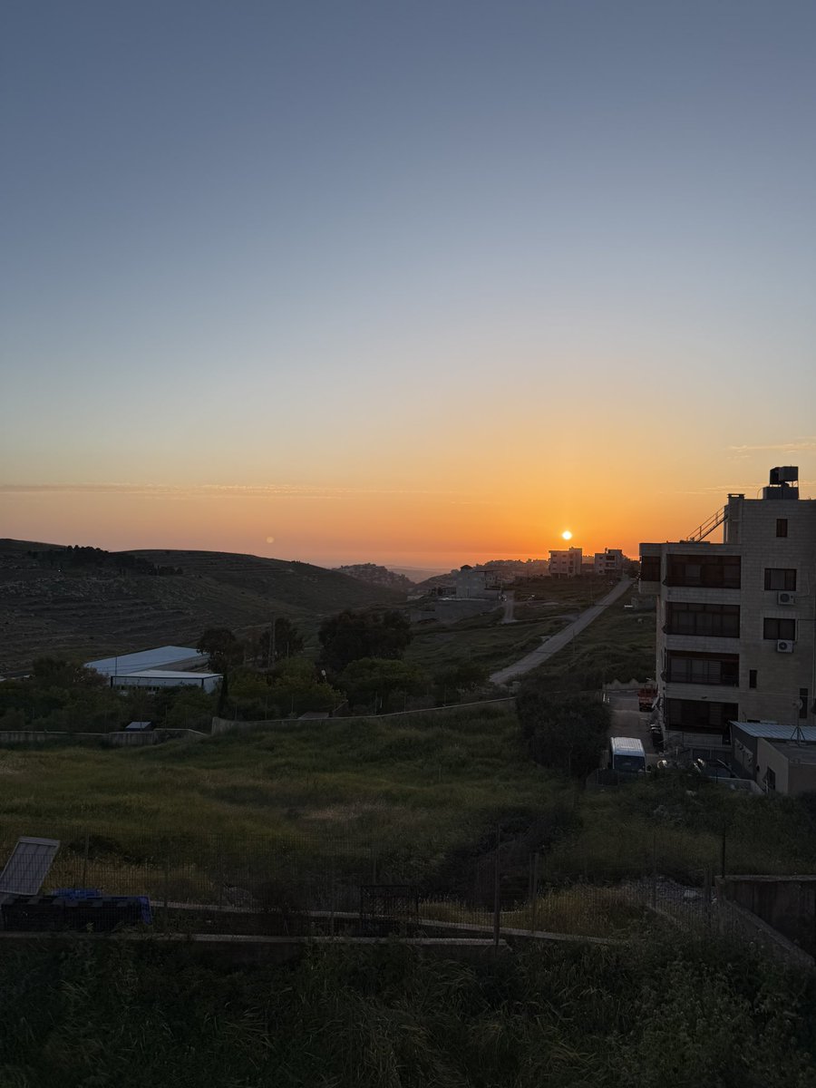 Shai🇮🇱 tweet media