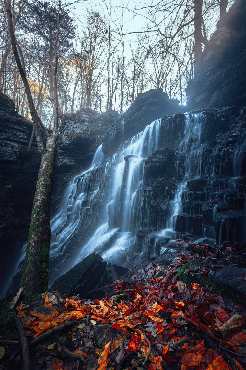 Hunter Rayl | Photographer tweet media