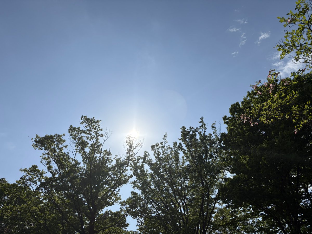 久遠季生 tweet media