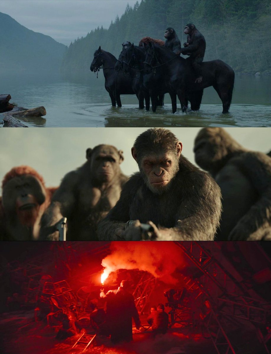 cinesthetic. tweet media