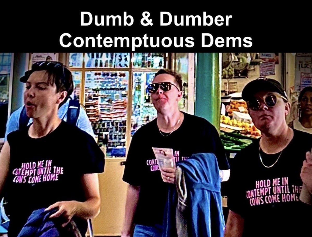 MAGA Lynn 🇺🇸 tweet media