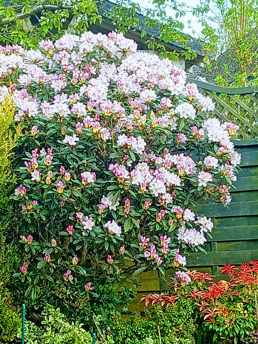 Andy loves life 🇬🇷🤍💛💙 tweet media