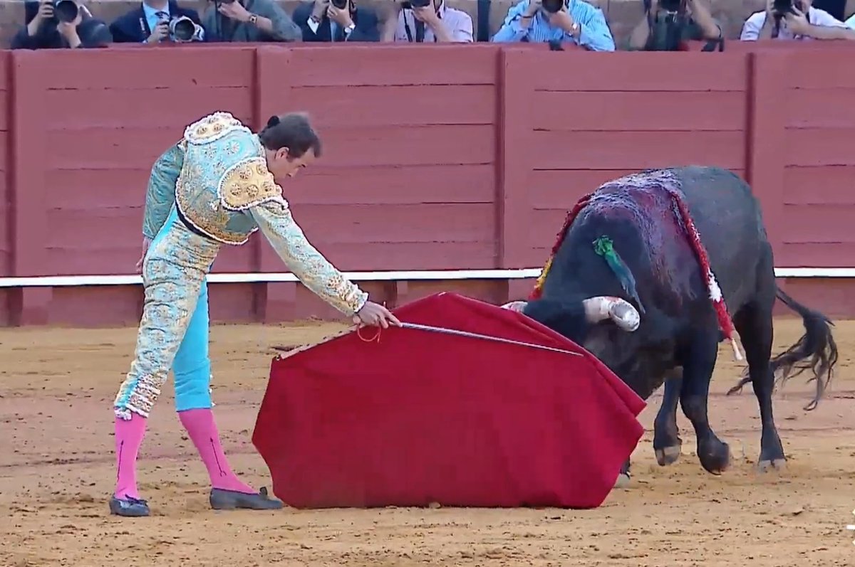 Seisyelsobrero tweet media