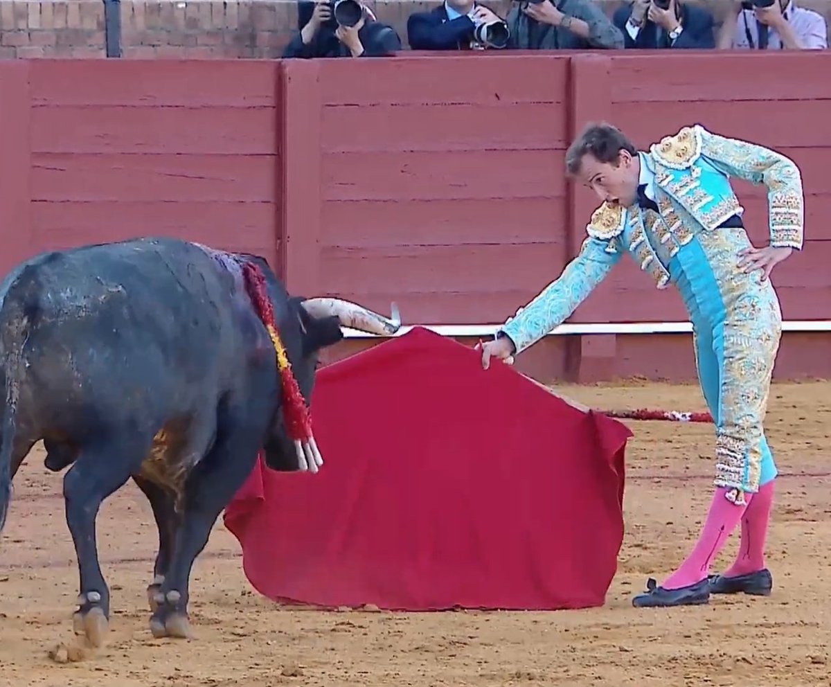 Seisyelsobrero tweet media