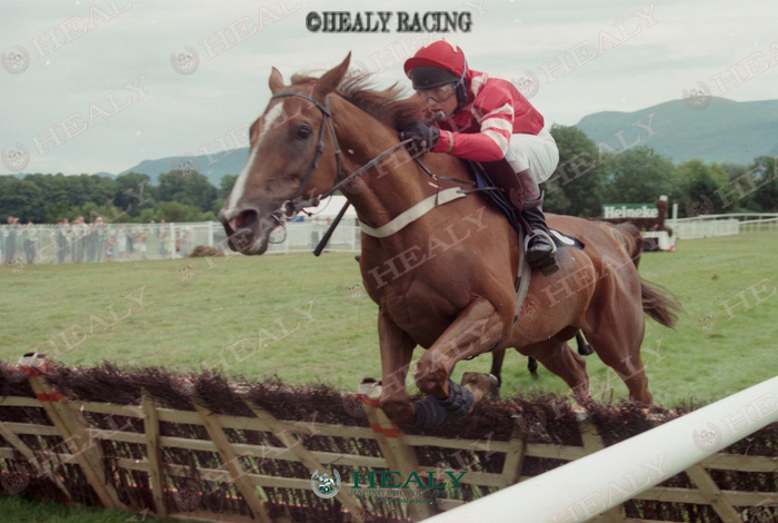 patcashhealy's tweet image. Killarney 18-July-1996  July Festival Day 4     @KillarneyRaces
#30yearsago   #archives   #fromthearchive   #memories   #HorseRacing   #HealyRacing   #ReelingInTheYears 
Colm's Rock and Charlie Swan win for owner R Finnegan and trainer Aidan O'Brien.
(c)healyracing.ie
