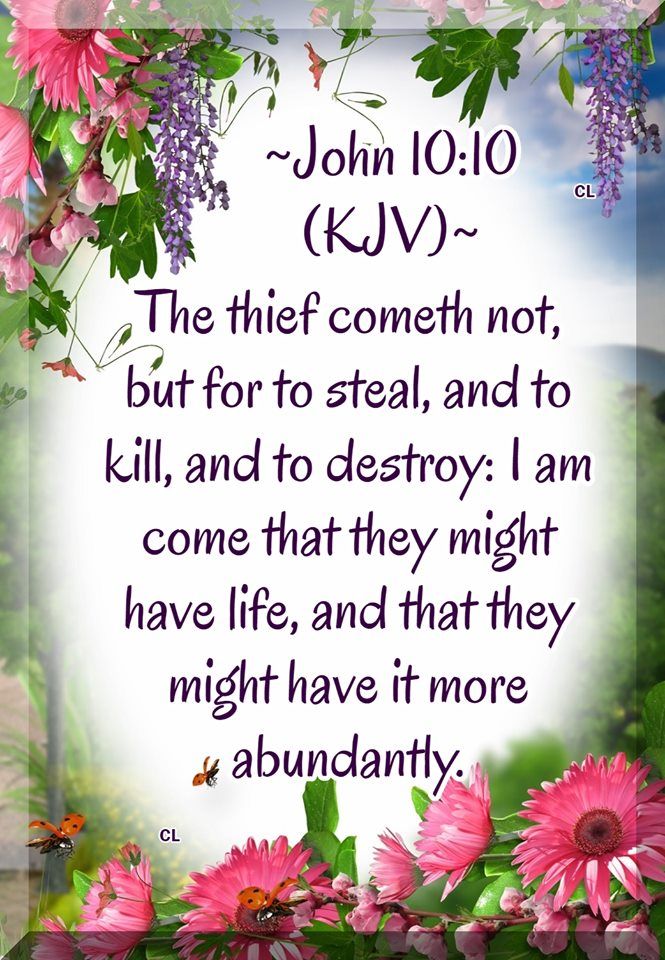 Prosser65's tweet photo. The Word of God! https://t.co/6mBLCRJ80D