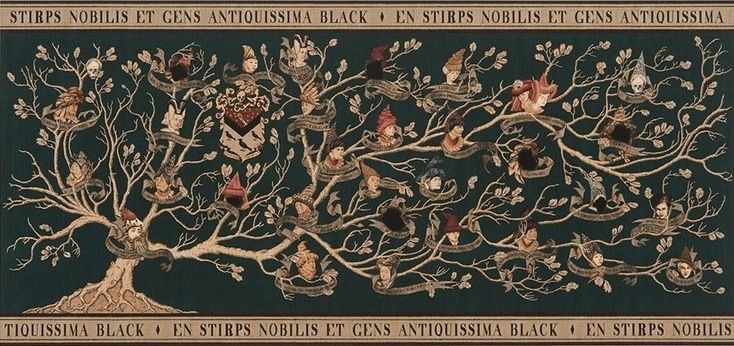 Acervo Sirius Black tweet media