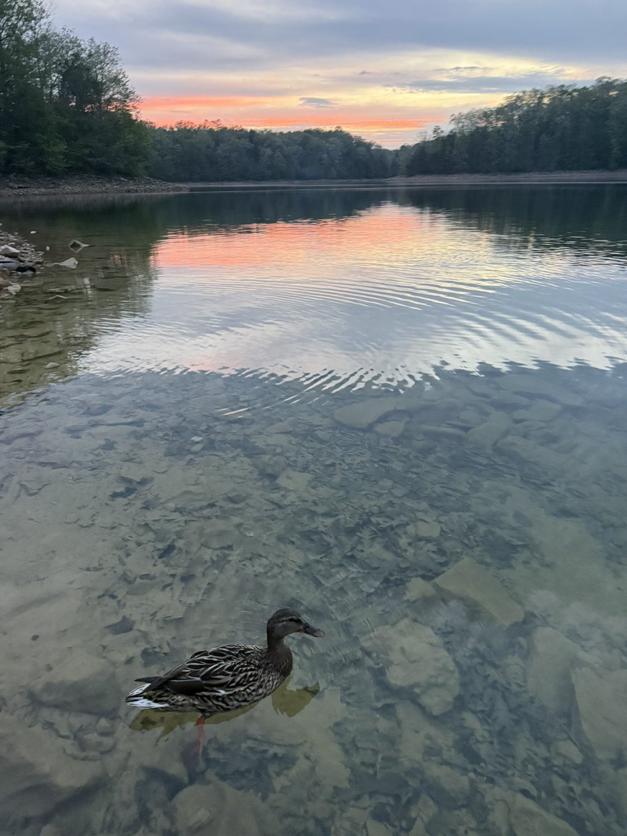 stinggrays's tweet photo. @DstanfordHenry They would have to kill me to stop me from camping (I’m also camping this weekend) https://t.co/VpeCSCdQT8