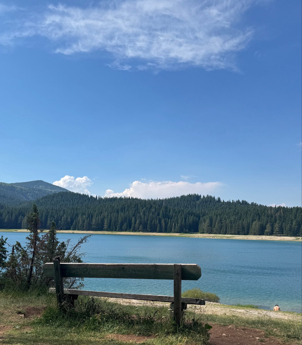 عبدالله العيسي tweet media