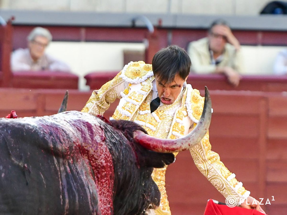 LasVentas's tweet photo. 5️⃣| Saludos para 𝗙𝗖𝗢. 𝗝𝗢𝗦𝗘́ 𝗘𝗦𝗣𝗔𝗗𝗔. Palmas para el del hierro de 𝘾𝙤𝙪𝙩𝙤 𝙙𝙚 𝙁𝙤𝙧𝙣𝙞𝙡𝙝𝙤𝙨.
#LasVentas https://t.co/9WST76eNSU