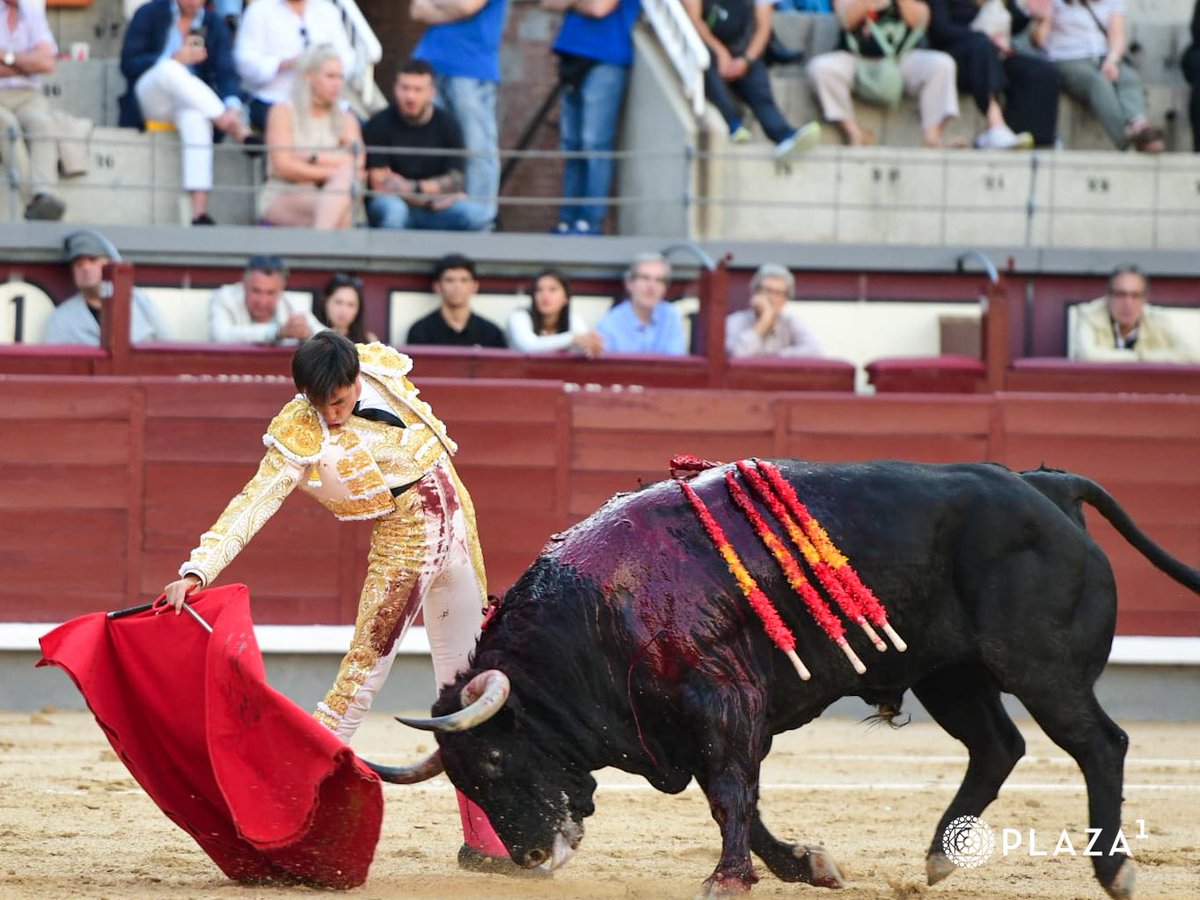 LasVentas's tweet photo. 5️⃣| Saludos para 𝗙𝗖𝗢. 𝗝𝗢𝗦𝗘́ 𝗘𝗦𝗣𝗔𝗗𝗔. Palmas para el del hierro de 𝘾𝙤𝙪𝙩𝙤 𝙙𝙚 𝙁𝙤𝙧𝙣𝙞𝙡𝙝𝙤𝙨.
#LasVentas https://t.co/9WST76eNSU