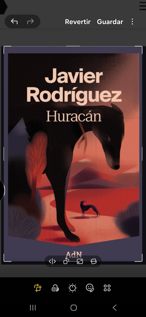 Julio Rodriguez G. tweet media