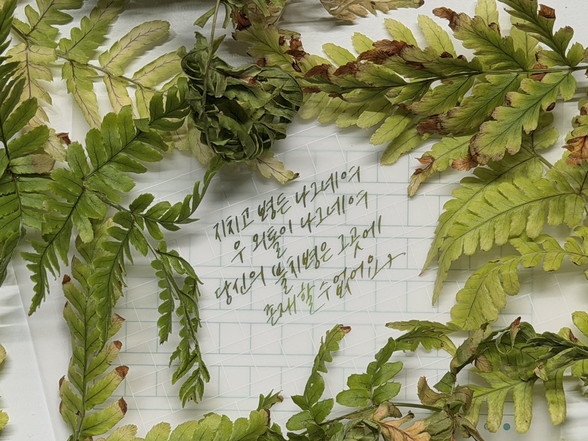 Handwith_Da's tweet photo. 🌿
지치고 병든 나그네여
우 외톨이 나그네여
당신의 불치병은 그곳에
존재할 수 없어요

: 소문의 낙원 / AKMU(악뮤) https://t.co/runU80Qc8V