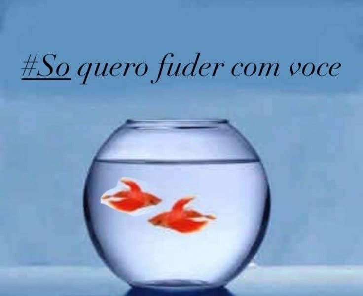 b🐾 (@isgcisabella) on Twitter photo 