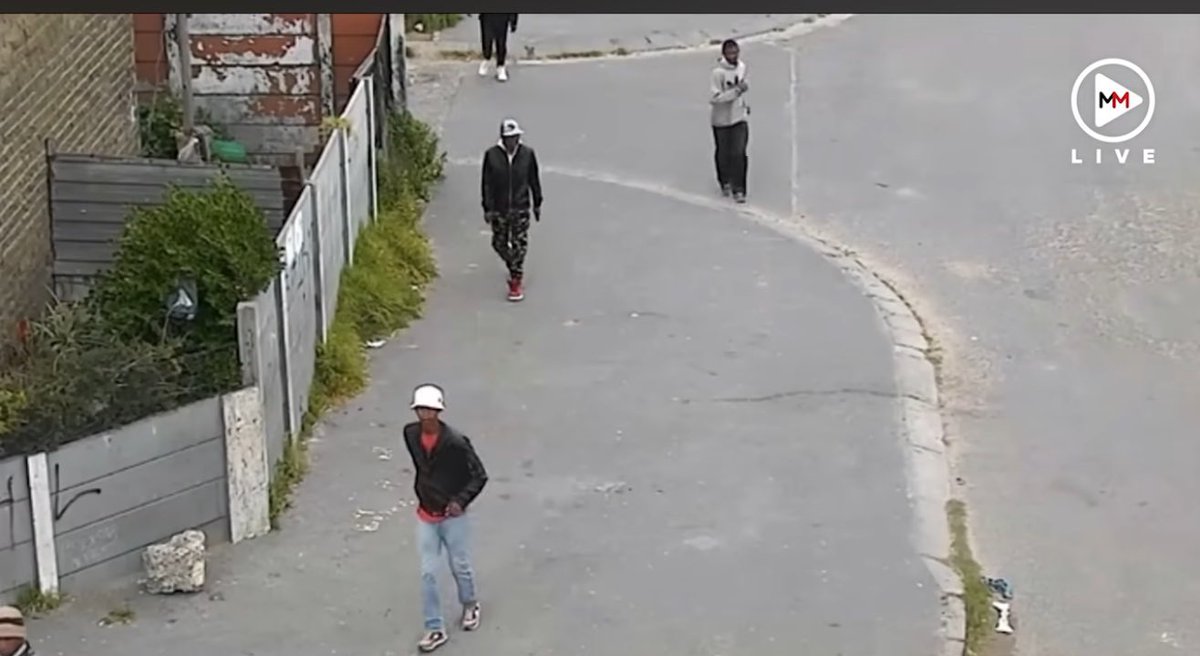 controlla tweet media