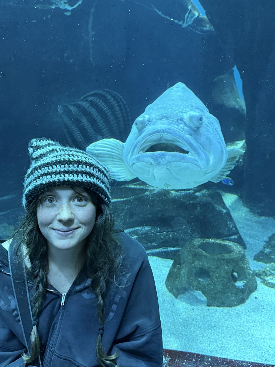 TECTONE 🇺🇸 tweet media