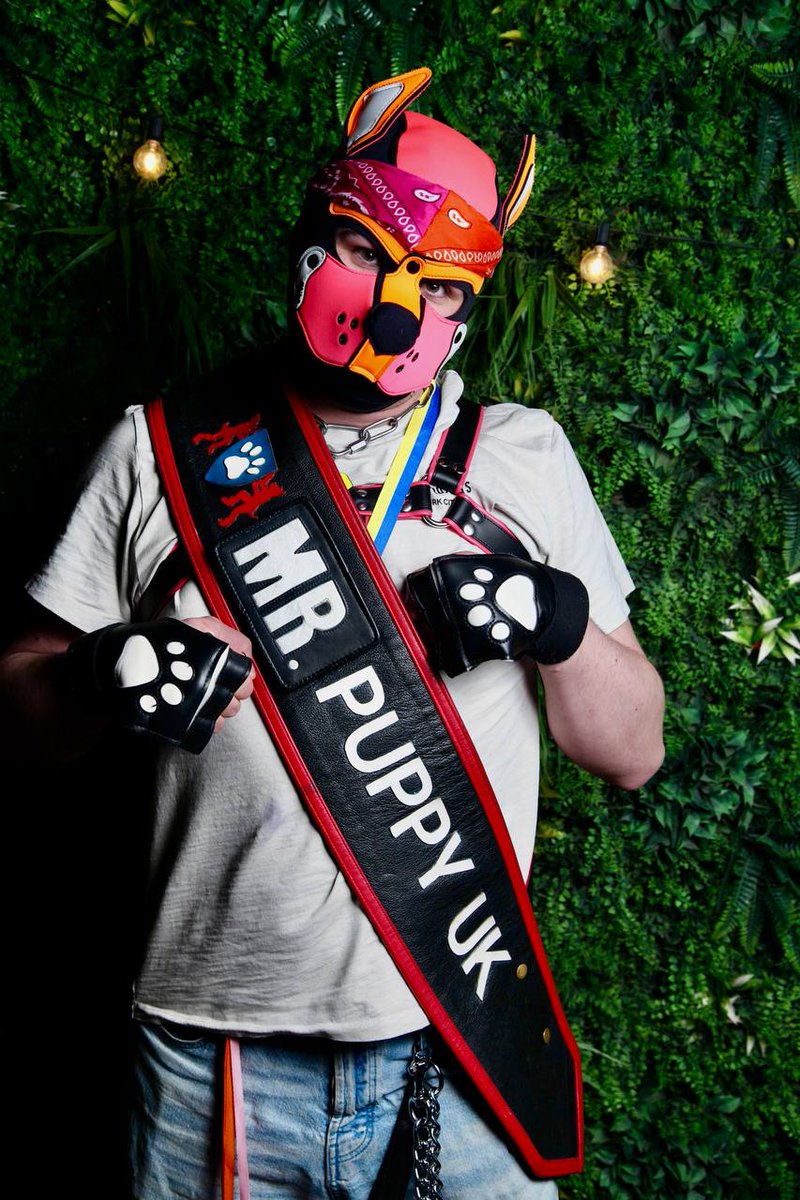 Hyper - Puppy UK 2026 tweet media