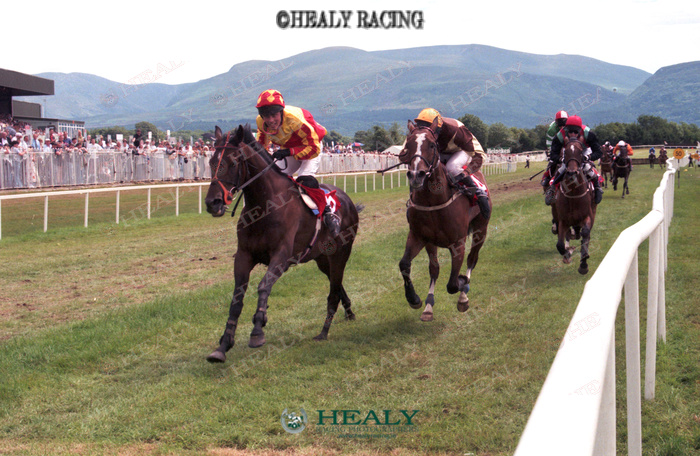 patcashhealy's tweet image. Killarney 18-July-1996  July Festival Day 4     @KillarneyRaces
#30yearsago   #archives   #fromthearchive   #memories   #HorseRacing   #HealyRacing   #ReelingInTheYears
Bright Project and Adrian O'Shea win for owner Sean Geary and trainer Donie Hassett.
(c)healyracing.ie