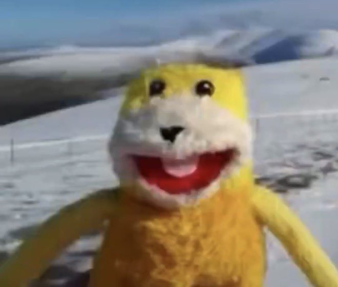 Tina 🩵 📿 tweet media