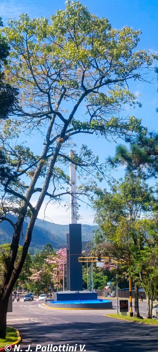 NJPallottiniV's tweet image. Rutas de Apamates.
 San Cristóbal - Venezuela.
#postales #street #fotos #sancristobal #tachira #venezuela #paisajes #travel #apamates