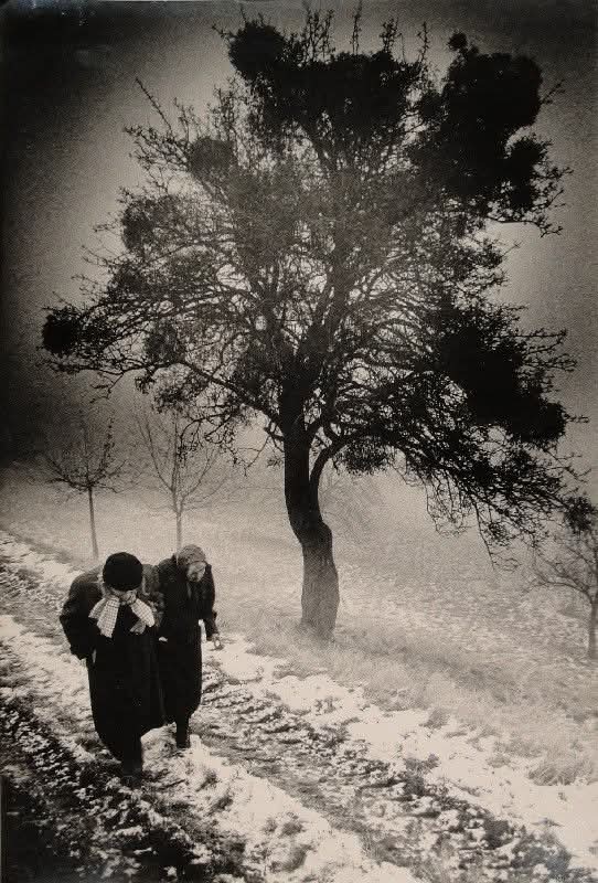 Sabina25537896's tweet photo. Ciò che in noi è ferito chiede asilo alle più minute cose della terra, e lo trova.

Christian Bobin

ph Marcel Imsand, Fondation Pierre Gianadda - Paul et Clémence. Silbergelatineabzug. 1982 https://t.co/o1wwuKvPj2