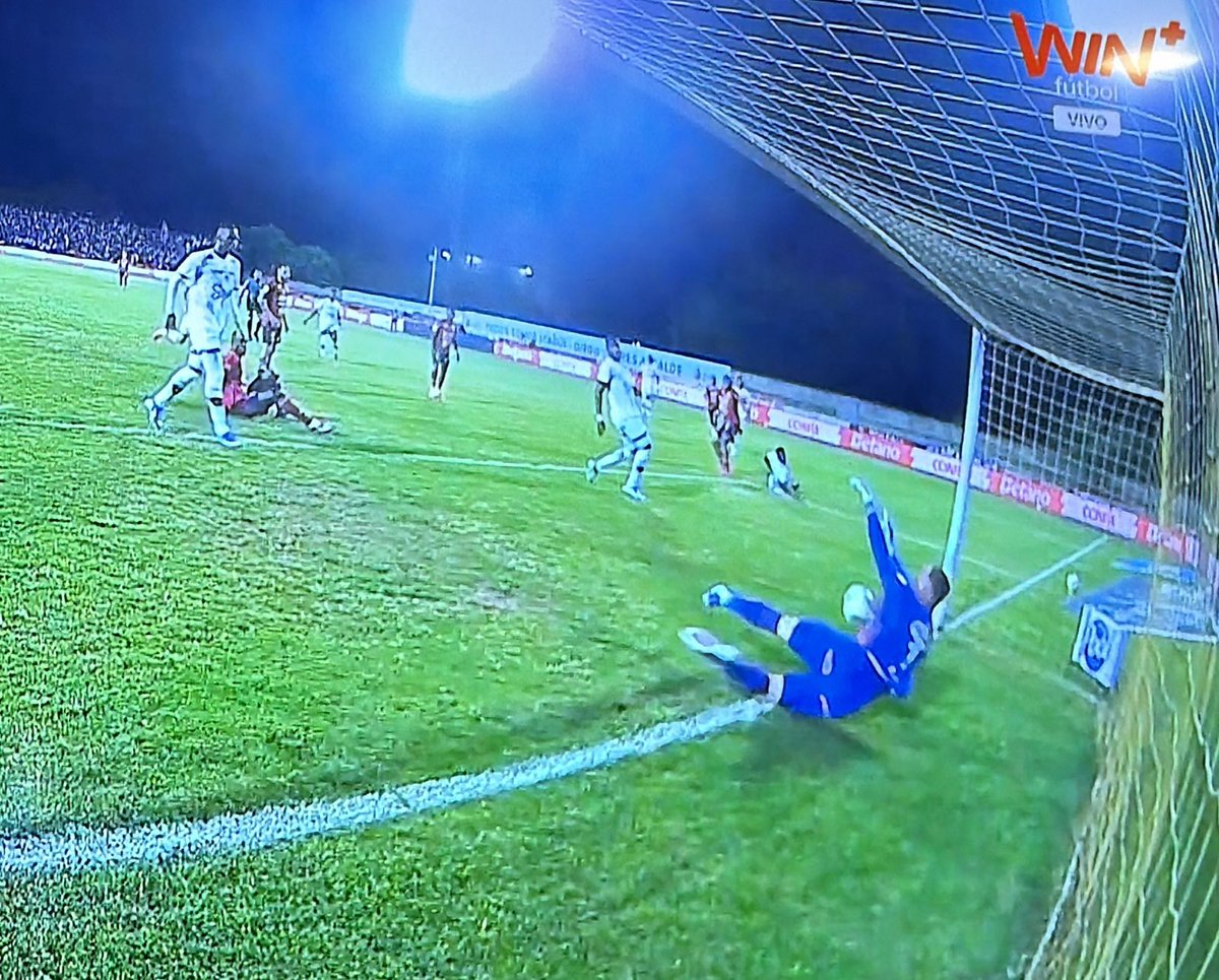 🐱H Jimenez R🐕 tweet media